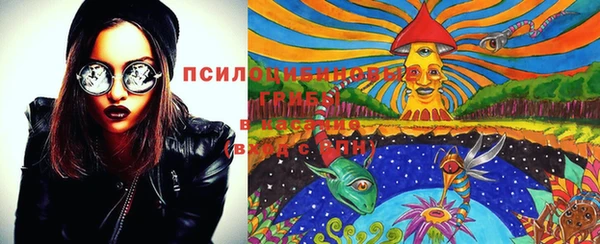 ГАЛЛЮЦИНОГЕННЫЕ ГРИБЫ Алексеевка