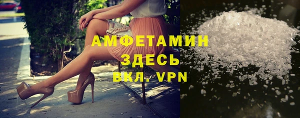 индика Медногорск
